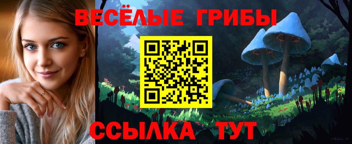 Батайск  Галлюциногенные грибы MAGIC MUSHROOMS  Вход с VPN 